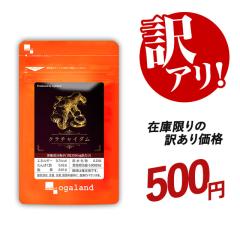 �y�󂠂艿�i!!�z�N���`���C�_���i60���j �T�v�������g ���N�H�i �A���M�j�� ���V���E�K ���傤�� �_�C�G�b�g ���N _JH _1K _MEN 20043 