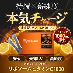 リポソーム ビタミンC 1000（20包）（2個セット）レモン風味 美味しい 持続型 リポソーム 100%  高純度  未来型 ビタミンC サプリ 1000mg