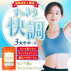 センナ茎&キャンドルブッシュ（3個セット・約3ヶ月分） すっきり どっさり 還元麦芽糖 健康 酸化マグネシウム サプリ おすすめ 美容 ダイ