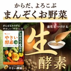 生姜 使用 やさい酵素（約3ヶ月分）しょうが 野菜 サプリ 健康 美容 酵素 野菜酵素 野菜不足 野菜 送料無料 生酵素 ダイエットサプリ え