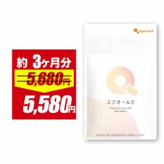 �y��فz�G�N�I�[�� S�i3�Z�b�g�E��3�������j�哤 �T�v�������g �T�v�� �I�[�K�����h ���N�g�r�I���_ �哤 ���o���y�� �C�\�t���{�� 