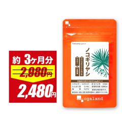 �y��فz�m�R�M�����V(��3������) �������� ���Ȃ������� �{�����[�� �\�[�p�����b�g �Z���m�A ���� _JH _MEN _3K  25006