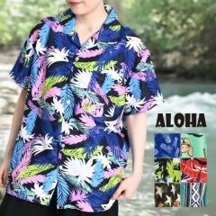 AnVc fB[X Y   傫TCY jZbNX  uEX nCA s rb61076