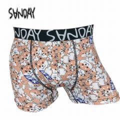 SANDAY-33�@�{�N�T�[�p���c �Č��@�O���@���@�����Y�@�����@�@��������