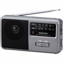 AudioComm AM^FM RpNg|[^uWI RAD-F1771M(1)[WI]