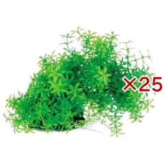 �e�g�� �t���L�V�u���v�����g FP-1(25�Z�b�g)[�A�N�A�v�����g]