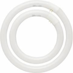 �ی`�u�������v 30�`+32�` 3�g���`�����F FCL-3032EXD-8H 06-4524(2�{�Z�b�g)[�u�����E�d��]