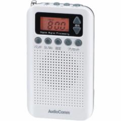 AudioComm DSP|PbgWI zCg RAD-P350N-W(1)[WI]