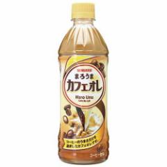 TKA ܂낤܃JtFI(500ml*24{)[JtFI]