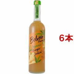 ELHi I[KjbNR[fBAWW[(500ml*6{Zbg)[̑]