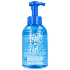 【大容量12本セット】 極涼 アイス ボディシャンプー (1000mL) 泡の極涼 アイスボディシャンプー(500mL)[クールボディソープ]の通販は