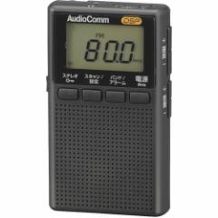 AudioCommCzt|PbgWI ubN RAD-P209S-K(1)[WI]