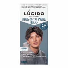 LUCIDO(V[h) fUCwAJ[ N[AbV  Y(1Zbg)[ jp]