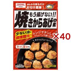 �����g���Ȃ��I�I�Ă����炠���̑f(80g�~40�Z�b�g)[����g����]