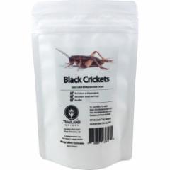 H t^zVRIM Big Crickets TIU0003(15g)[MtgE]