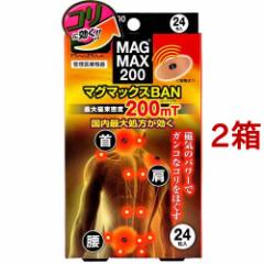 MAGMAX200 }O}bNXBAN(24*2Zbg)[\^Cv]