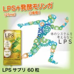 LPSTv yK _ ||TbJh ||TbJCh |