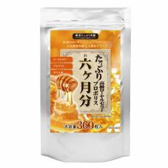 Ղ荂[[[{v|X+C 6 Tvg clQ  p[