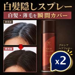 �v���V�A �w�A�t�H���[ �u���E�� 150g 2�Z�b�g �����B���X�v���[ ���уJ�o�[ �{�����[���A�b�v ������ ������ ���� ���R�Ȏd�オ�� ��