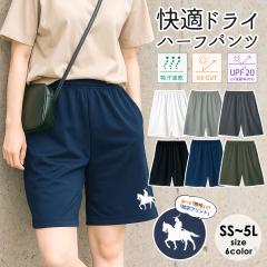 n[tpc n[p V[gpc z fB[X Y {gX ̑ TT y  K ⊴ @  ɒB