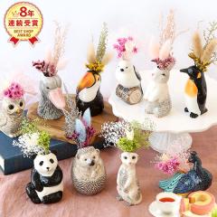 �a�����v���[���g ���j�� �������� ���َq �X�C�[�c �m�َq ���� �A�j�}�� �O�b�Y ���킢�� �������� �C���e���A �G�� �h���C�t�����[ ��