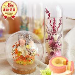 �a�����v���[���g ���j�� �������� ���َq �X�C�[�c �m�َq �v���U�[�u�h�t�����[ �K���X�h�[�� �A�����W �G�� �u���� �A���e�B�[�N �o�E