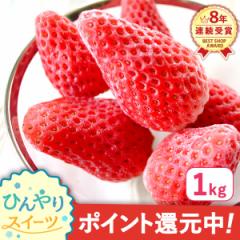 期間限定 冷凍いちご ひんやり ストロベリー 1kg 静岡産 あきひめ 紅ほっぺ すずの薫 よつぼし 使用 冷凍フルーツ イチゴ