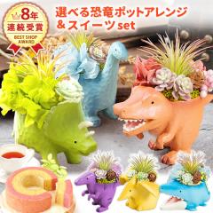 �a�����v���[���g ���j�� �������� ���َq �X�C�[�c �m�َq�g �v���U�[�u�h�t�����[ ���� �ǂ�Ă� �o�� �K�N �~�j �u�� �C���e���A �G��