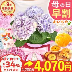 ��̓� ���� �ԂƃZ�b�g �� �v���[���g �ԂƃZ�b�g ���� ���A�� �������� �I�ׂ� �A�W�T�C ���z�� �������� 4�� �ǂ�Ă� �X�C�[�g�|�e�g