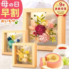 ��̓� ���� �ԂƃZ�b�g �v���U�[�u�h�t�����[ �v���[���g �������� ���َq �X�C�[�c �m�َq �A�����W �C���e���A �t���[�� �o�E���N�[�w