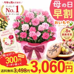 母の日 花とセット 早割 カーネーション プレゼント 鉢植え ギフト 生花 花 送料無料 選べる20色 どら焼き 5号鉢 花 お