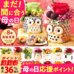 母の日 ギフト プリザーブドフラワー バラ 薔薇 プリザーブドフラワー 動物 アニマル ふくろう 置物 グッズ かわいい 送料無