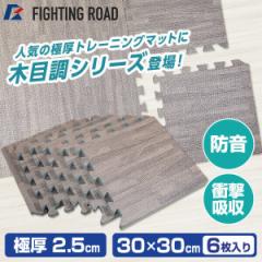 FIGHTING ROAD FR22CMS0026 ؖڒtA}bg30cm~30cm(6) [J[