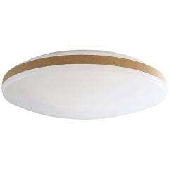 �A�r�e���b�N�X ALC-10B [LED�V�[�����O���C�g (�`10��/����/�����F) �����R���t��]