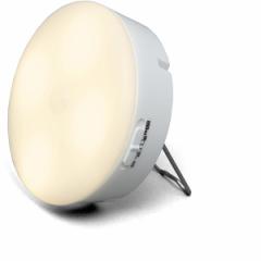 アイリスオーヤマ BSL40ML-WV2 [乾電池式LEDセンサーライト マルチタイプ 電球色 ] メーカー直送