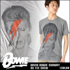 yz fBbhE{EC bNTVc  Y vgy[։z/ 傫TCY USAf David Bowiey[։