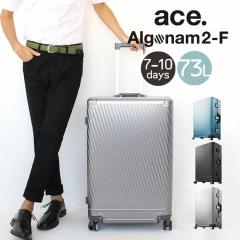 �m�x���e�B�t �|�C���g10�� �G�[�X �X�[�c�P�[�X �A���S�i��2-F �A���~�j�E���f�� �t���[���^�C�v ���s �o�� �R�� TSA���b�N �y�� ACE 7