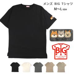 y[֑zČ hJ BIG TVc Y M`L 41479A j am 傫 rbOVGbg I[o[TCY N[lbN ێ 