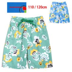 TEAM GODDESS `[SbfX LbYEWjAT[tpc 110 120 37759302 XCpc y[։zNo.sw2431