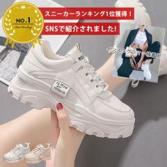 �t�V�� ����X�j�[�J�[ �_�b�h�X�j�[�J�[ �_�b�h�V���[�Y �ʊw �V���[�Y (��������)^bo-727^ ��