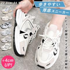 �t�V�� ����X�j�[�J�[ ����\�[�� ���f�B�[�X �_�b�h�V���[�Y �V���[�Y �y�� (��������)^bo-935^ ��