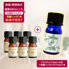 �y�撅500�����a��n�b�J���܂��t���z�A���}�I�C�� ������ �I�ׂ�6�{�Z�b�g �e5ml 35�킩��I�ׂ� ���� �A���} �G�b�Z�����V�����I�C�� 