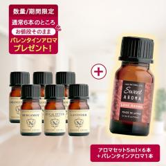 �y�撅500���l/�o�����^�C���A���}1�{�v���[���g�z�A���}�I�C�� ������ �I�ׂ�6�{�Z�b�g �e5ml 35�킩��I�ׂ� ���� �A���} �G�b�Z�����V