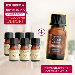 �y�撅500���l/�t����A���}1�{�v���[���g�z�A���}�I�C�� ������ �I�ׂ�6�{�Z�b�g �e5ml 35�킩��I�ׂ� ���� �A���} �G�b�Z�����V�����I