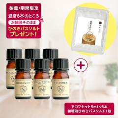 �y�撅1000���l���Ђ̂��o�X�\���g1��v���[���g�z�A���}�I�C�� ������ �I�ׂ�6�{�Z�b�g �e5ml 35�킩��I�ׂ� ���� �A���} �G�b�Z�����V