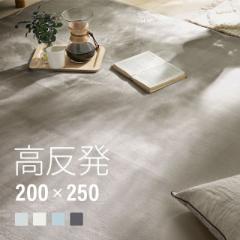 【最大1000円OFFクーポン 5/7迄】 高反発 ラグ 厚手 200×250cm 厚さ25mm フランネル 防音 滑り止め付 マイクロファイバー ホットカーペ
