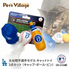 MLB T[X hW[X JĕI胂f LbggC
