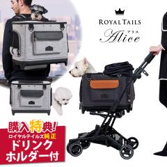 hNz_[t ROYAL TAILS Alice CeCY AX
