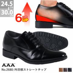 �r�W�l�X�V���[�Y �r�W�l�X �����Y �C �v�C ���H�� �X�g���[�g�`�b�v 6cm�g���A�b�v �r�� �h�� �傫���T�C�Y�Ή� �u���b�N �u���E�� 3cm