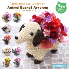 �����Ƃ��Ԃ̃C���[�W���I�ׂ�y�A�j�}���o�X�P�b�g�A�����W�z�L�̓� �z���C�g�f�[ �������� �������w  �������� �G�߂̉Ԃł��܂��� �A